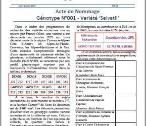 Acte de nommage Génotype