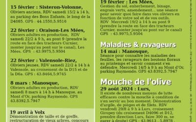 Calendrier des formations