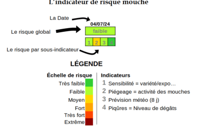 L’indicateur de risque mouche