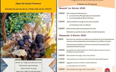 34ème Fête de la Truffe à Mane en Provence