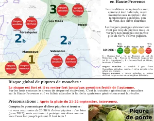 Risque Mouche du 22 septembre 2025
