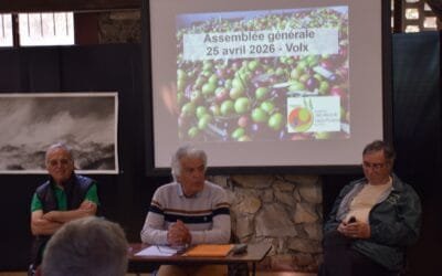 Assemblée Générale du Groupement des Oléiculteurs de Haute-Provence et du Luberon