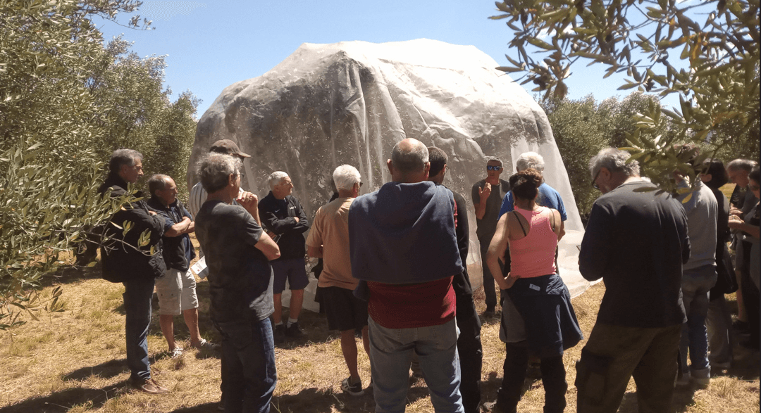 Formation du 25 juin 2026