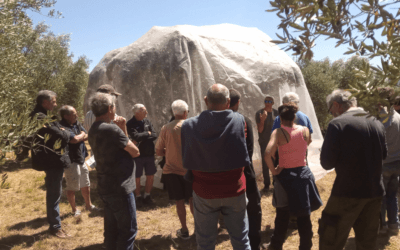 Formation du 25 juin 2026
