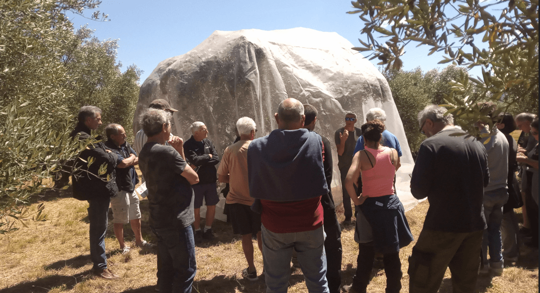 Formation du 25 juin 2026