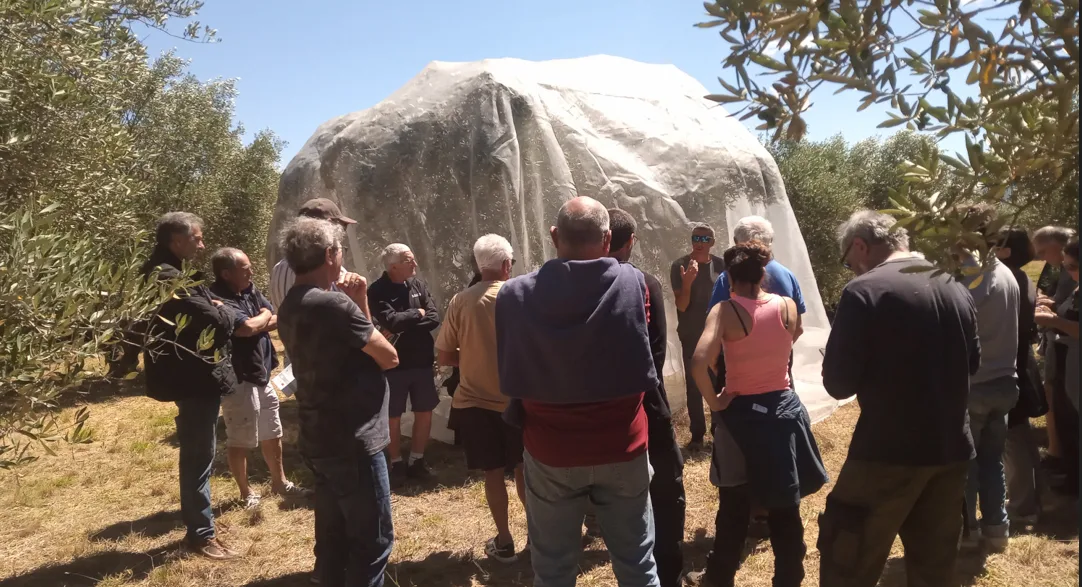 Formation du 25 juin 2026